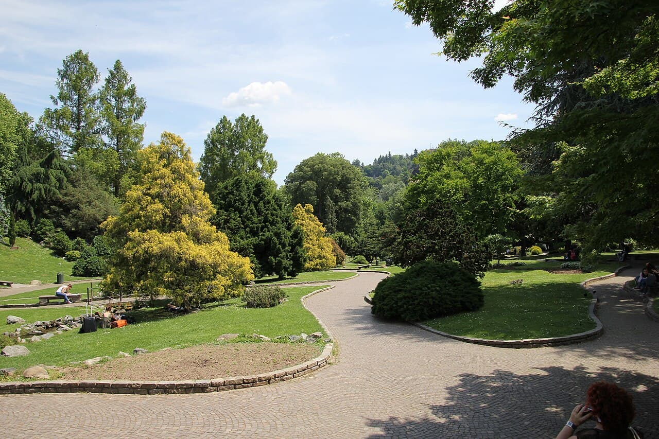 Lawns, conifers and a curving gravel path in the Parco del Valentino, with the hill rising behind the trees
